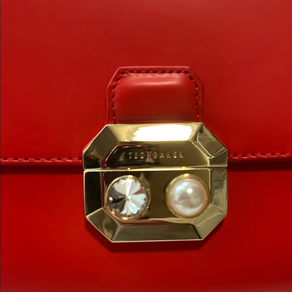 Ted Baker London Burnt Orange NWT Crossbody Bag - Picture 4 of 12